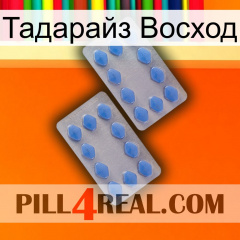 Тадарайз Восход 20